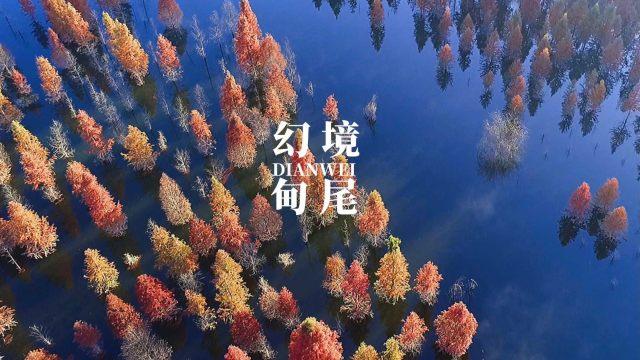 风色幻想XX